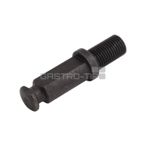 Trn sneku C/E RQ 22 MIN