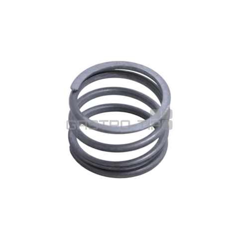 Pruzina zadni E 3004 GRAEF 25042